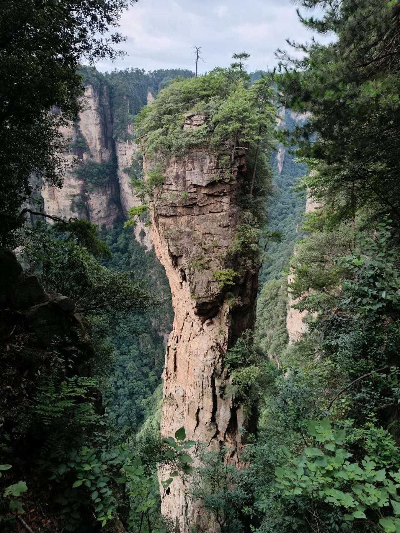 Family Hotel Zhangjiajie Exteriör bild