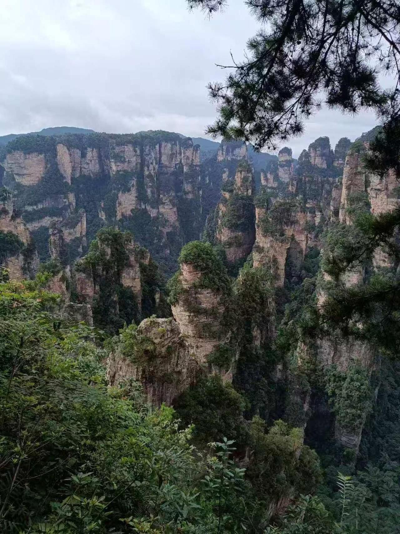 Family Hotel Zhangjiajie Exteriör bild